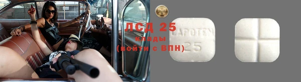 apvp Богородицк