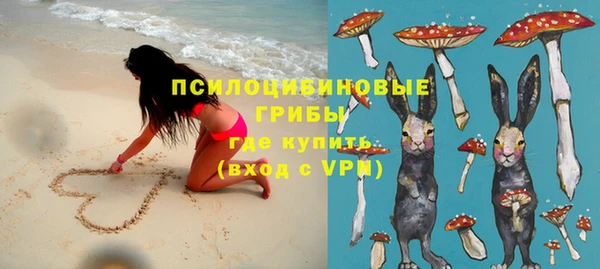 марки lsd Богданович
